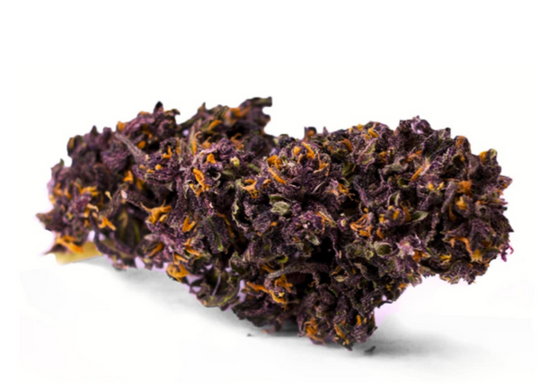Purple Kush | 22% CBD